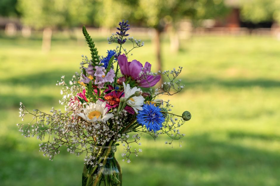 A vibrant bouquet of fresh flowers arranged in a glass jar, featuring pink tulips, white daisies, blue cornflowers, purple veronica, and delicate baby's breath, set against a blurred outdoor backgroun